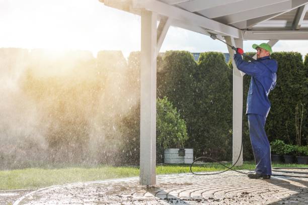 Best Roof Washing  in Choudrant, LA